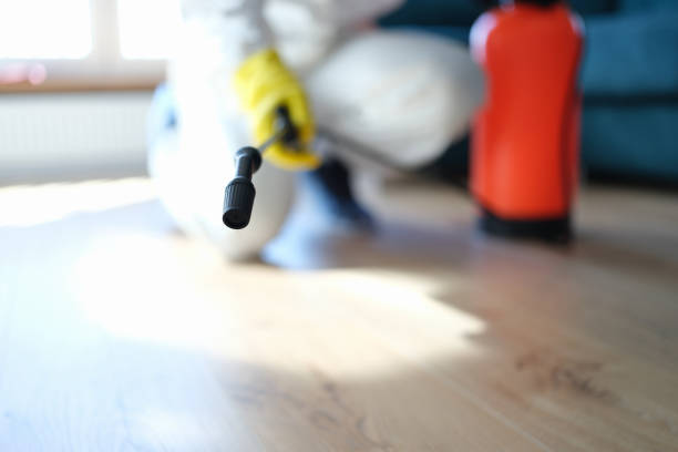 Best Dehumidification Services  in Cortez, FL
